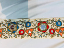 Mirror embroidered trim, multi color with nude background