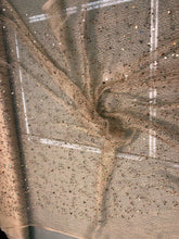 Spider web mesh with sequin embroidered, beautiful cream color mesh with gold sequin embroidery 52&quot; wide fabric sold by the yard