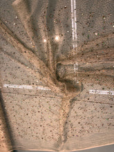 Spider web mesh with sequin embroidered, beautiful cream color mesh with gold sequin embroidery 52&quot; wide fabric sold by the yard