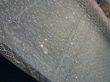 Glitter Metallic tule fabric useable for apparel, party decorations & much more..... 58â wide beautiful silver with gold on mesh